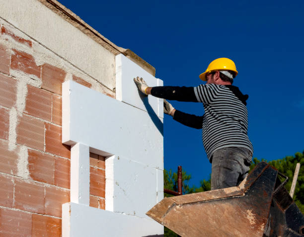 Best Insulation Repair Services  in Elroy, NC