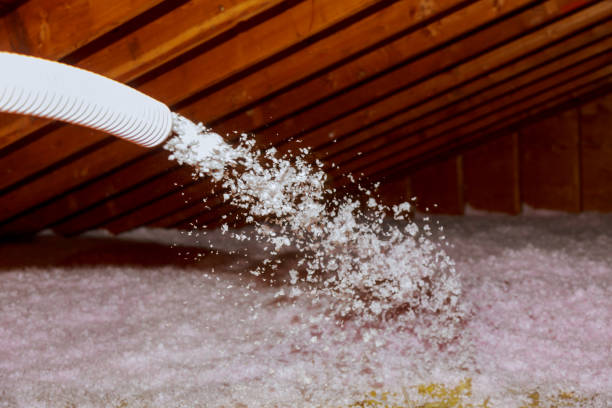 Best Fiberglass Insulation  in Elroy, NC