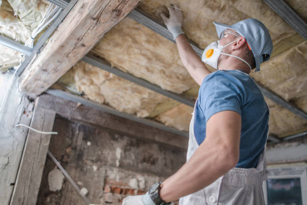 Best Insulation for New Construction  in Elroy, NC