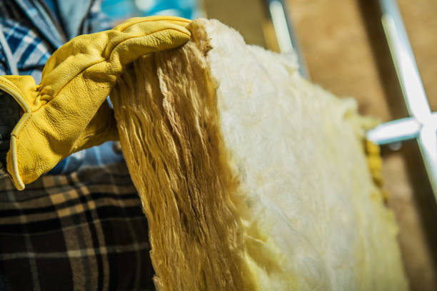 Best Local Insulation Services  in Elroy, NC