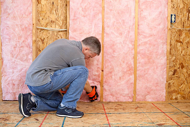 Best Home Insulation Services  in Elroy, NC