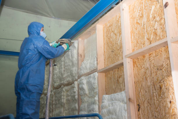 Best Cellulose Insulation  in Elroy, NC