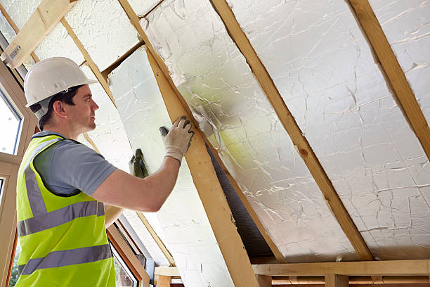 Best Blown-in Insulation  in Elroy, NC