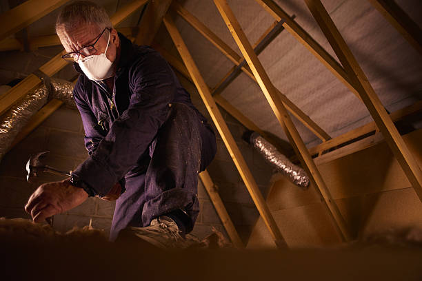 Best Local Insulation Services  in Elroy, NC