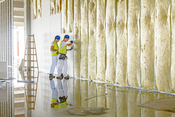 Best Residential Insulation Services  in Elroy, NC